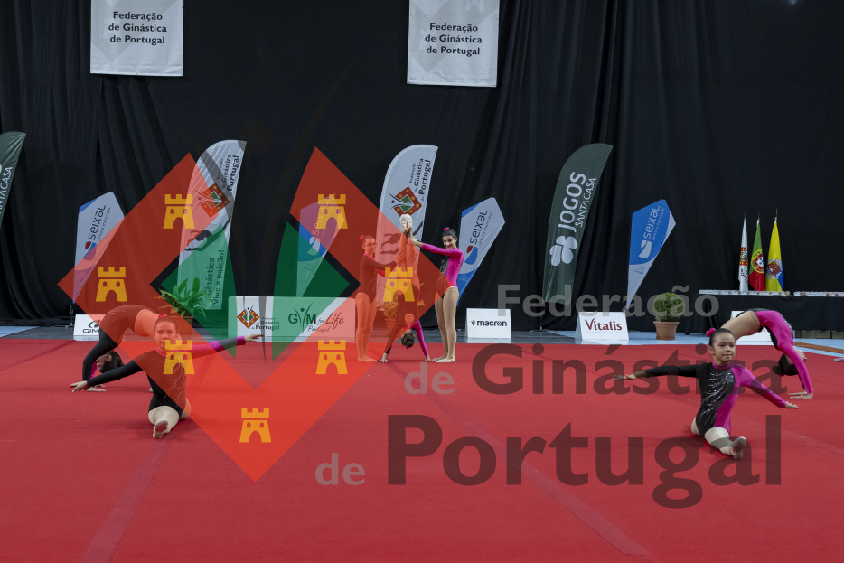 1052_Gym for Life Portugal